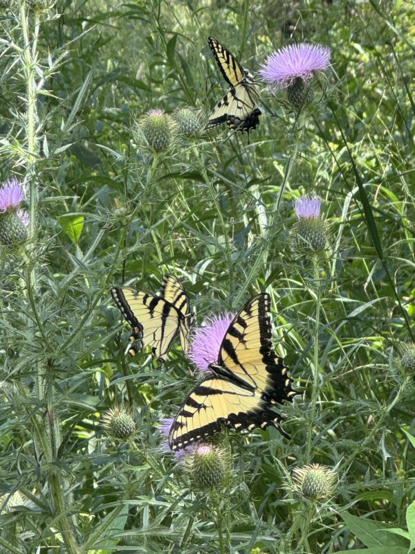 September Time Well Spent