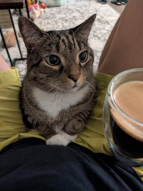 Time Still Marches On Faster Than I’d Like (day 1)