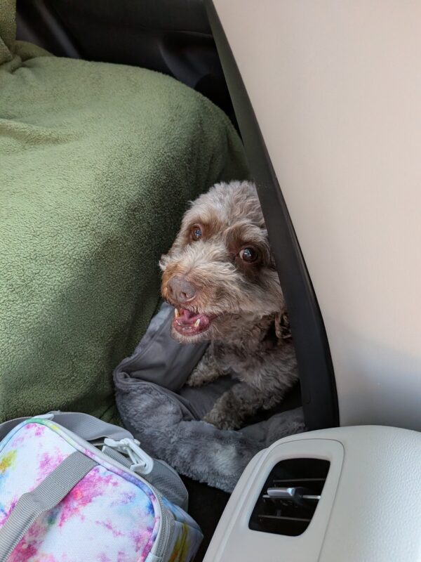 Time to Travel: Fort Lauderdale